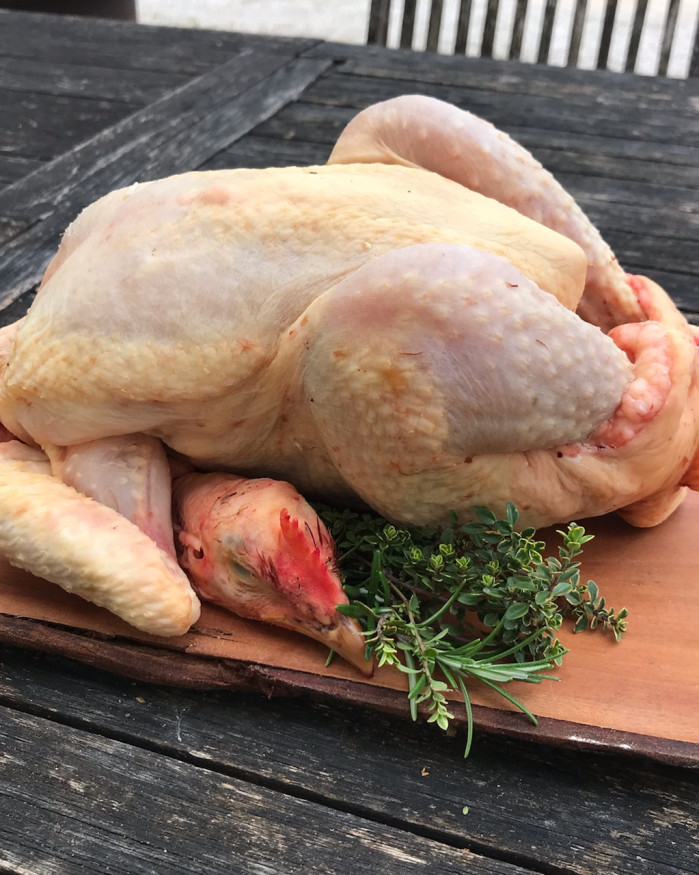 Poulet