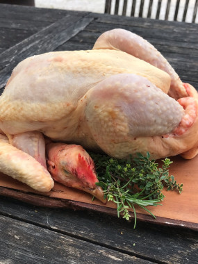 Poulet