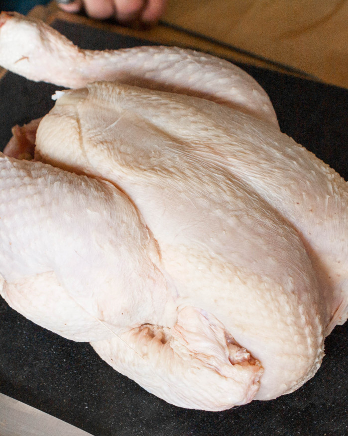 Poule