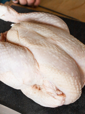 Poule